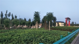 標題：張家口經(jīng)開(kāi)區腰站堡飲用水源地生態(tài)涵養綠化
瀏覽次數：2577
發(fā)表時(shí)間：2020-10-16
