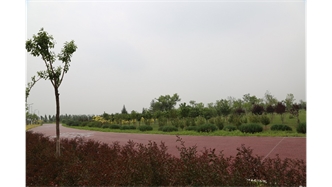 標題：大青山南坡生態(tài)修復
瀏覽次數：2170
發(fā)表時(shí)間：2020-10-16