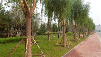 標題：通遼市勝利北路道路景觀(guān)綠化
瀏覽次數：1815
發(fā)表時(shí)間：2020-10-16