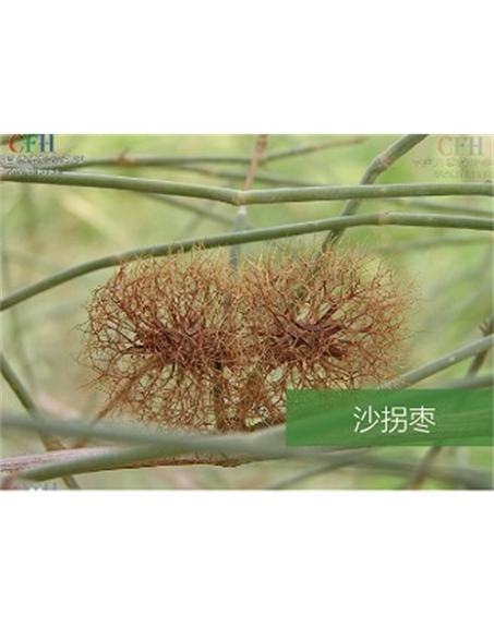 標題：名貴樹(shù)種
瀏覽次數：1403
發(fā)表時(shí)間：2020-10-17