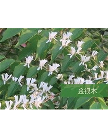 標題：?jiǎn)坦嗄?瀏覽次數：1438
發(fā)表時(shí)間：2020-10-17