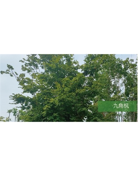 標題：?jiǎn)坦嗄?瀏覽次數：1441
發(fā)表時(shí)間：2020-10-17