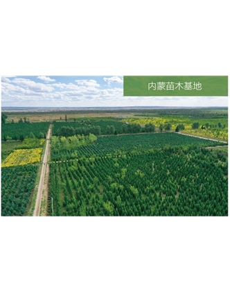 標題：苗木基地
瀏覽次數：2250
發(fā)表時(shí)間：2020-10-17