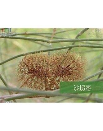 標題：名貴樹(shù)種
瀏覽次數：1398
發(fā)表時(shí)間：2020-10-17