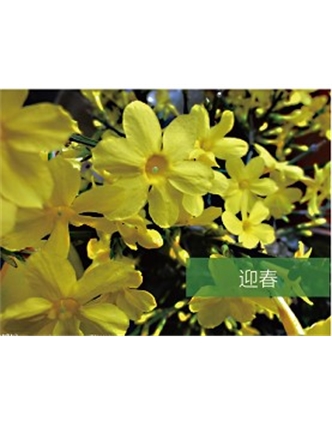 標題：?jiǎn)坦嗄?瀏覽次數：1627
發(fā)表時(shí)間：2020-10-17