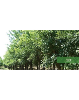 標題：?jiǎn)坦嗄?瀏覽次數：1512
發(fā)表時(shí)間：2020-10-17
