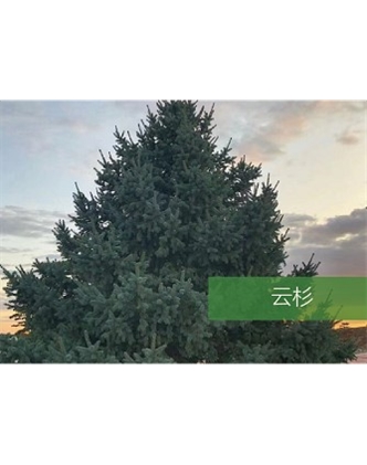 標題：?jiǎn)坦嗄?瀏覽次數：2126
發(fā)表時(shí)間：2020-10-17
