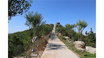標題：張家口太子山山體修復
瀏覽次數：18403
發(fā)表時(shí)間：2020-11-12
