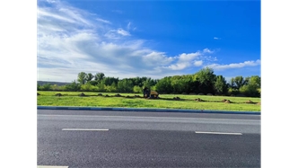 標題：伊利現代智慧健康谷道路綠化建設項目
瀏覽次數：1428
發(fā)表時(shí)間：2023-11-07